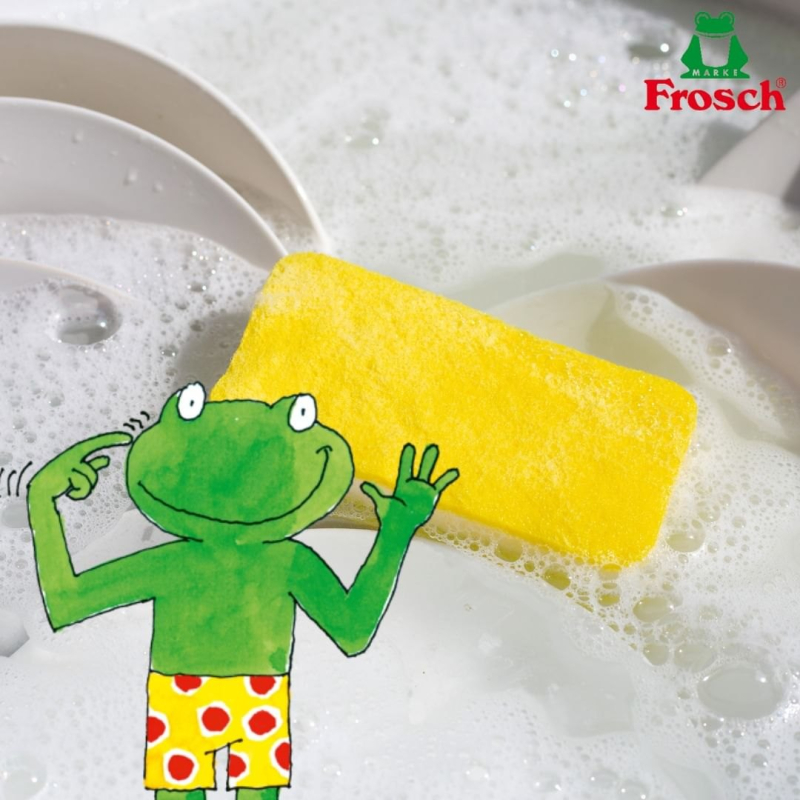 Nước Rửa Chén Hữu Cơ Frosch 500ml Hương Mâm Xôi